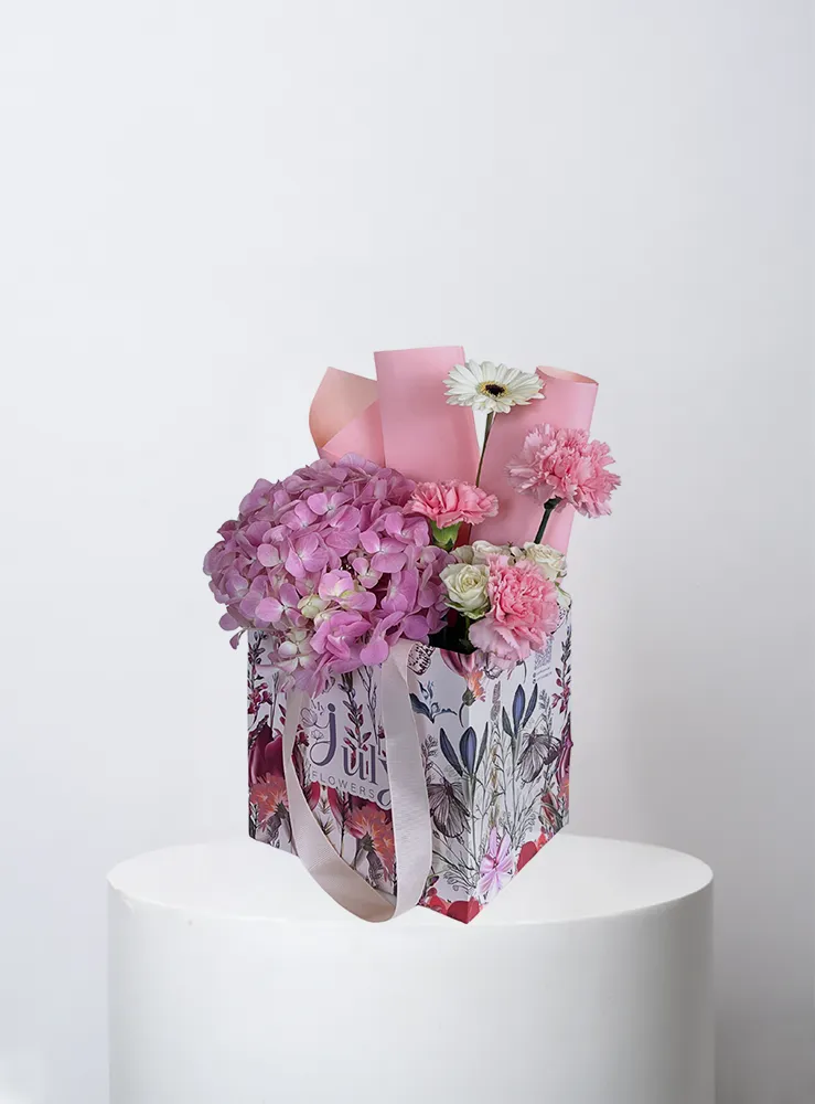 24_result 24 - Image 1