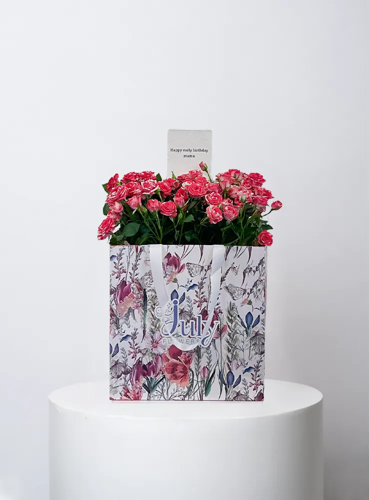 65_result 65 - Image 1